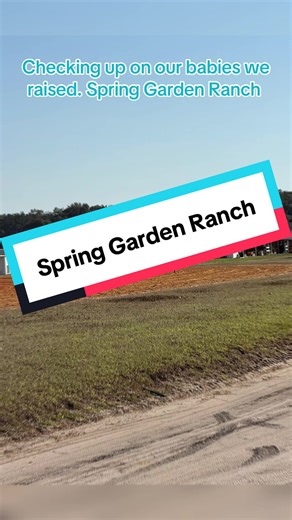 #eylerequinemanagement #standardbredracehorse #absorbine