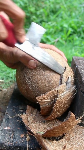 Technique for scooping coconuts from their shells #coconut #satisfying | Handika Amiranto