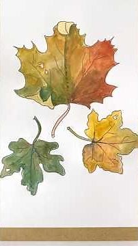 How to draw a maple leaf: Tutorial for those in a hurry! 🍁