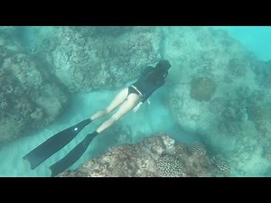 Beautiful Girl Freediving in Ocean | Freediving Vol. 1