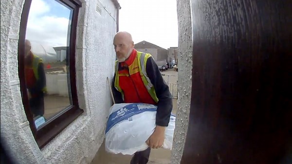 Delivery driver ignores dog warning signs and ends up face-to-face with two curious dogs