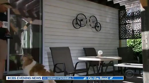 3.9M views · 15K reactions | On the Road with Steve Hartman returns to a neighborhood driveway where a single man is inspiring acts of kindness across America one chalk “racetrack” at a time. | CBS Evening News | Facebook