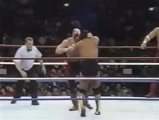 On March 30, 1991 WWF/SWS WrestleFest took place in front of 64,618 fans at the Tokyo Dome in Tokyo, Japan. There were 12 matches on the card including the main event that saw The Road Warriors/Legion of Doom (Hawk & Animal) take on Hulk Hogan & Genichiro Tenryu. Super World of Sports, more commonly known as SWS, was a Japanese professional wrestling promotion from 1990 to 1992. Its motto was "Straight and Strong". This was the first of two SWS/WWF co-promotion cards at the Tokyo Dome. | Davenpo