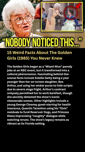 15 Weird Facts About The Golden Girls (1985) You Never Knew