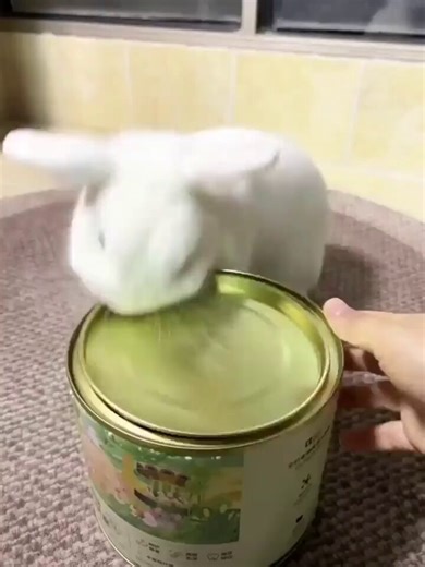 RT @equine__dentist: his greed sickens me