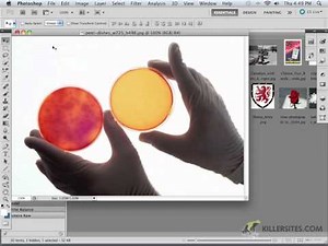 Photoshop CS5 - Open Files and Bridge