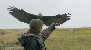 282K views · 3.1K reactions | We want everyone to love what they do. Follow us and be inspired to find your true calling! | True Calling | Facebook