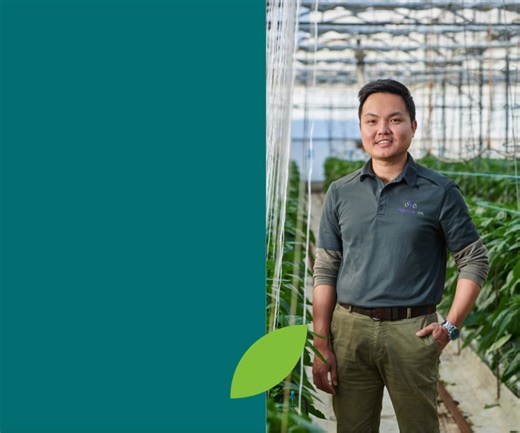 New support for Western Australia’s culturally and linguistically diverse (CALD) vegetable growers, designed to build capability, boost business performance, and strengthen resilience across the sector. Delivered in partnership with vegetables WA, this project is connecting growers with tailored extension, education and innovation programs that reflect their needs and ambitions. 🌱 This work is part of building a more connected, inclusive, and future-ready industry, where every grower has the to