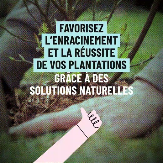 🍂 En automne, c'est le moment de planter arbres & arbustes !