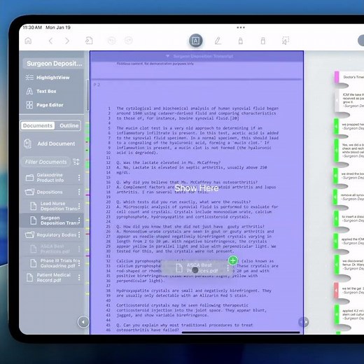 Litigate with LiquidText