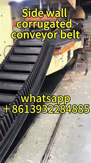 Large inclination corrugated sidewall conveyor belt #rubberbelt#rubberconveyorbelt #conveyorfactory