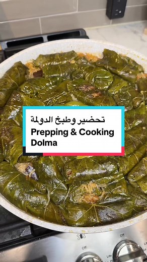 How to Prepare and Cook Dolma: A Middle Eastern Recipe