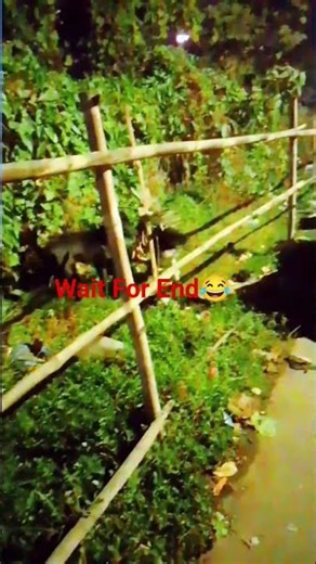 wait for end😂😂pyar do pyar lo during😂♥️#subscribemychannel #editingvideo