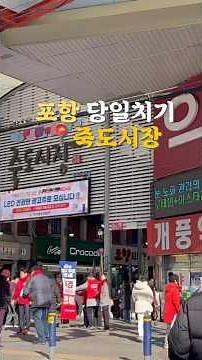 포항에 오면 꼭 가야하는 죽도시장 #포항 #포항여행 #죽도시장 #시장 #시장맛집투어 #시장구경 #경상도여행