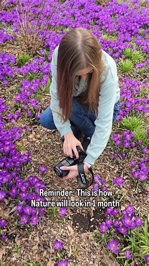 Kristine | Winter Frost Nature Photography | Tutorials | Spring flower fields - I cannot wait 😍💜 #macrophotography #naturephotography #flowerphotography #SonyAlpha #MadeWithLightroom... | Instagram
