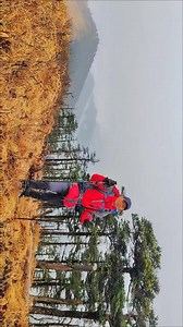在秦岭狗爬梁前往东梁的山梁上，可以清楚的看到南坡和北坡不同的植物特性，南草北木 #神奇的大自然 #这大概就是爬山的魅力吧 #朋友们大家好！