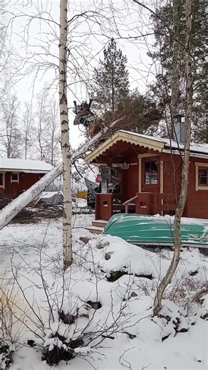 Myrskyn kaatamien puiden raivausta kone avusteisesti. Puunkaato Tampere ja Kangasala.