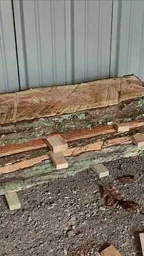 How to Properly Dry Lumber: Tips, Timing & Techniques