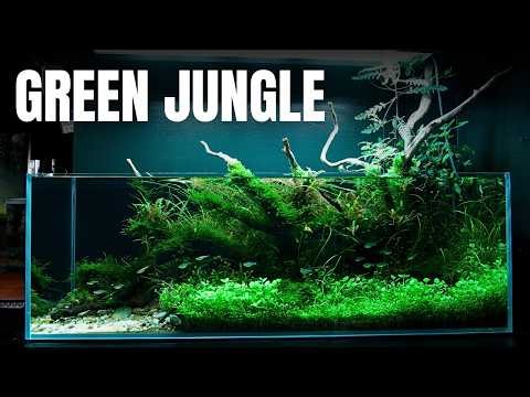 Epic 3ft Shallow Aquarium Build For Minnows & Cory's! Aquascape Tutorial