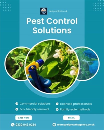 Protecting Homes from Pests #SafeHomes #PestFreeLiving #EcoSolutions #UKFamilies