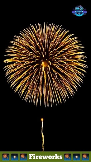 Fireworks Show 🎆 Atosh Baji 🎇 Patakha 🧨 #shorts #fireworks #halercm