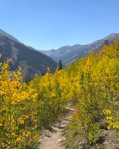 Enjoy the autumn scenery from a trail in the Colorado Collegiate Mountain Range. | Michael J Bauer Photography