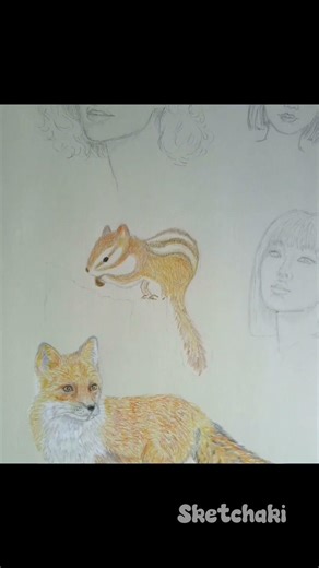 This Chipmunk Gets Cuter Every Second...