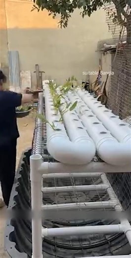 একই জায়গায় তিন রকমের চাষ | Farming