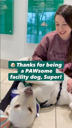 Get to know our facility dog, Super 🐾