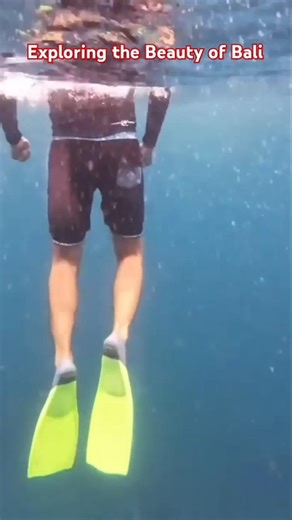 Underwater masti 💦🐟 A Quiet Swim Through Nature