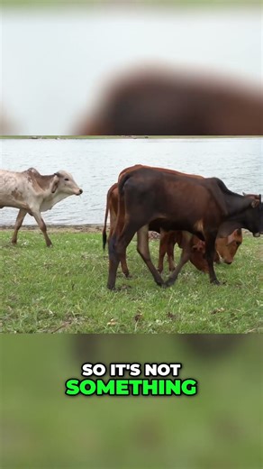 My Normal Life: Not Surprised, Just Living #shorts