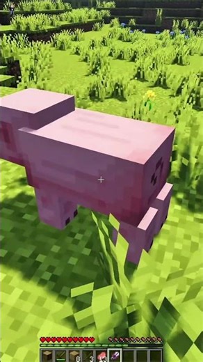 Minecraft But I Can Craft Armor From Any Mob #shorts