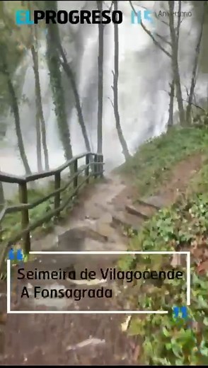 😮 A seimeira de Vilagocende, na #Fonsagrada, déixanos esta estampa tras o desxeo. E a seimeira máis alta de #Galicia, con 54 metros | El Progreso de Lugo