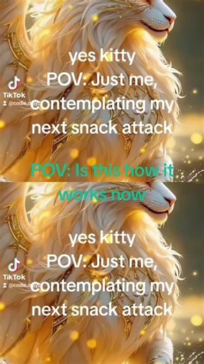 Codie May (@codie.may2)’s videos with Aşkın Olayım - Speed Up - Simge