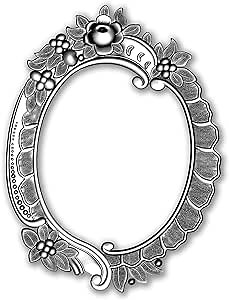 Amazon.com: Sizzix 3D Impresslits Embossing Folder 665016 Floral Frame by Tim Holtz One Size