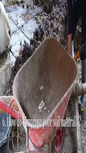 Fix Your Soil! Compacted, Clay & Poor Soil Solutions