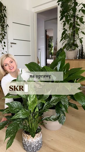 184K views · 1.1K reactions | ✅ Link do artykułu o...