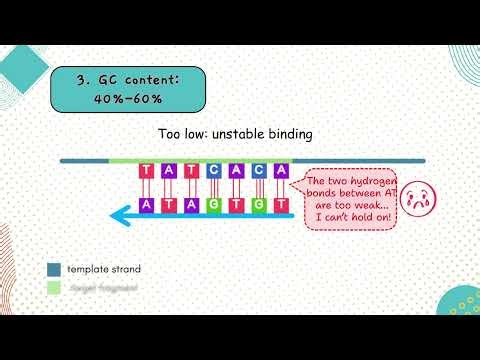 𝟱 𝗙𝘂𝗻𝗱𝗮𝗺𝗲𝗻𝘁𝗮𝗹 𝗣𝗿𝗶𝗻𝗰𝗶𝗽𝗹𝗲𝘀 𝗼𝗳 𝗣𝗿𝗶𝗺𝗲𝗿 𝗗𝗲𝘀𝗶𝗴𝗻 Video