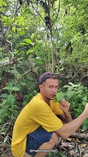 tutorial de como defecar no mato kkk #comedia #memes #humor