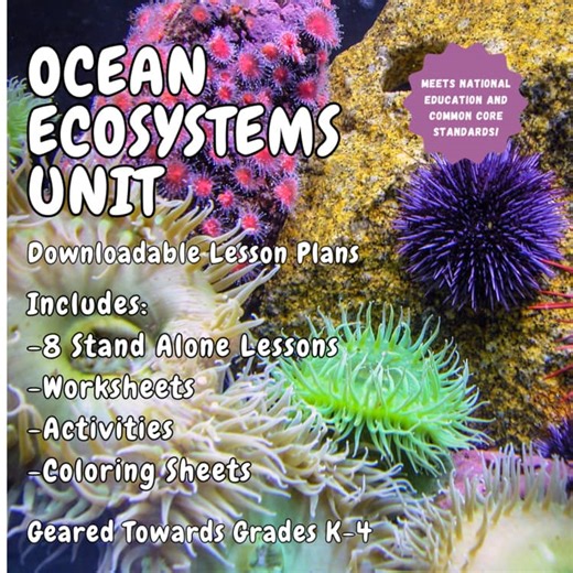 Ocean Ecosystems Unit for Grades K-4
