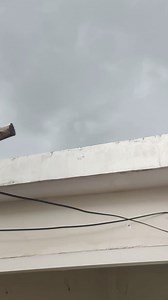 23K views · 1.1K reactions | This kitten does not come back down. #cat #kittens | Momy Baby | Facebook