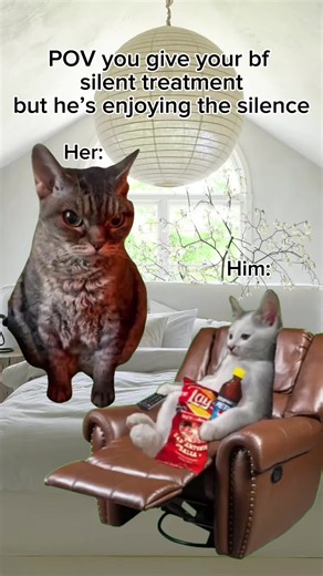 Cute GF & BF Cat Moments Compilation