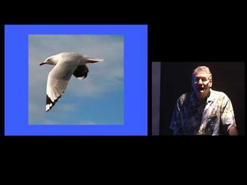 Islands: Natural Laboratories of Evolution