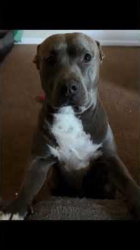 #illustration #tattoo #art #pov #procreate #drawing #whydidntmyexcomeback #digitalart