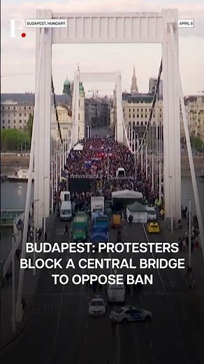 Hungary: Massive Protest Against LGBT Pride Parade Ban | N18G