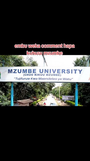 Weka Comment: Graduation Motivation from Mzumbe University