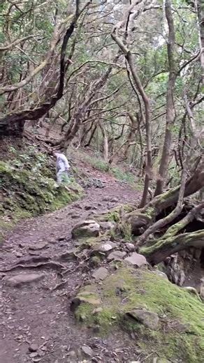 Top Hiking Spot in Tenerife Anaga Mountains Adventure | Magical Hiking Trail in Spain
