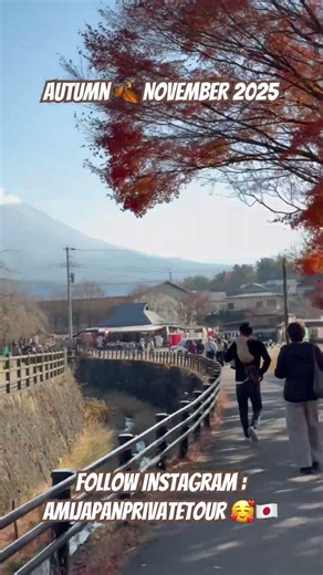 Autumn in Japan 🇯🇵 #autumninjapan #travel #japan