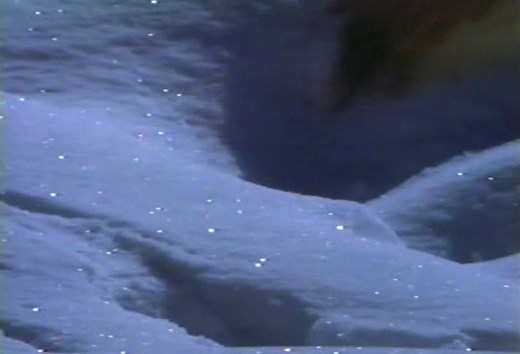 DISCOVERY CHANNEL: Wolves At Our Door