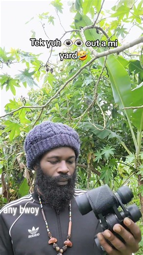 Jamaican neighbors love look inna yuh yard.